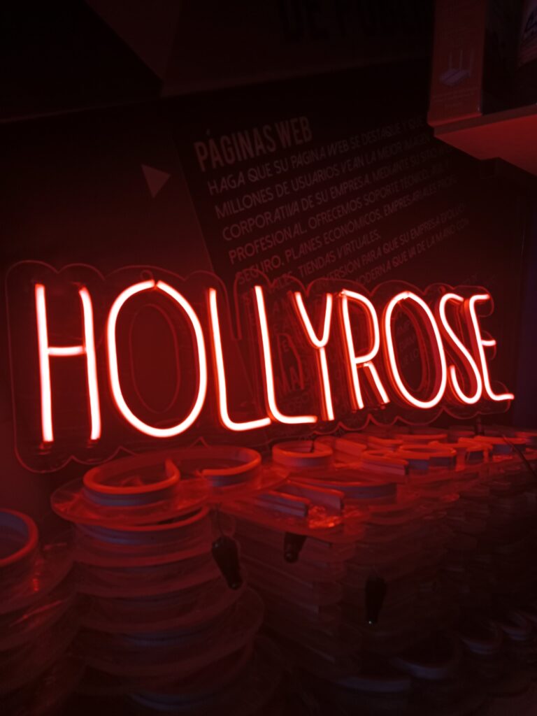 letreros neon hollyrose